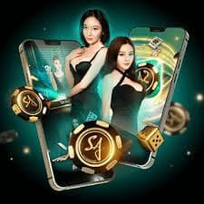 oxbet net