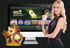 oxbet net